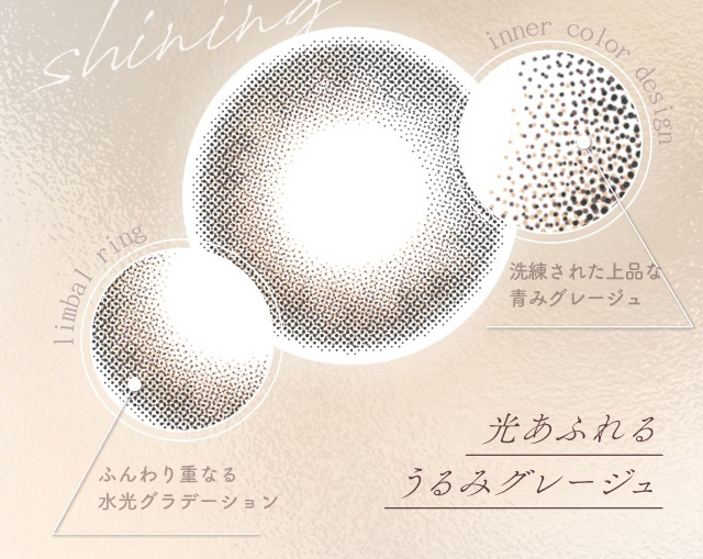 ふんわり重なる 水光グラデーション 洗練された上品な 青みグレージュ 光あふれる うるみグレージュ 度あり・度なし 10枚 エフォス デューイグレージュ DIA:14.1mm ワンデー カラコン カラーコンタクトレンズ