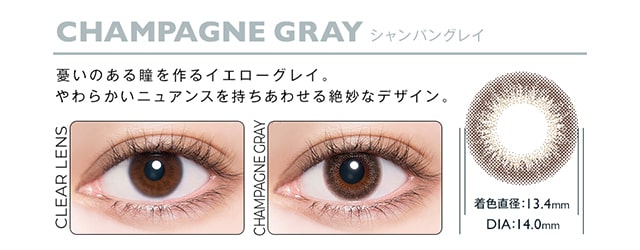 アンヴィUV ワンデー カラコン シャンパングレイの商品紹介