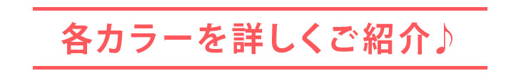 各カラーを詳しく紹介