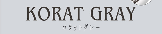 アンヴィシリコーンのコラットグレー|黒木メイサさんイメージモデル 瞳にやさしいつけ心地のシリコーンハイドロゲルレンズ アンヴィシリコーン(envie SILICONE)ワンデー,DIA14.2mm,BC8.7mm,10枚入り