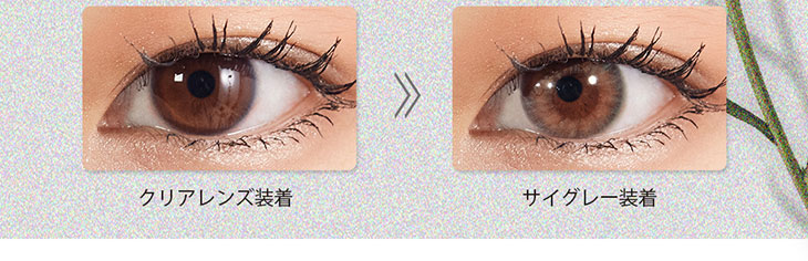 ワンデーカラコンエフェメラル(ephemeral)のサイグレーの装用写真