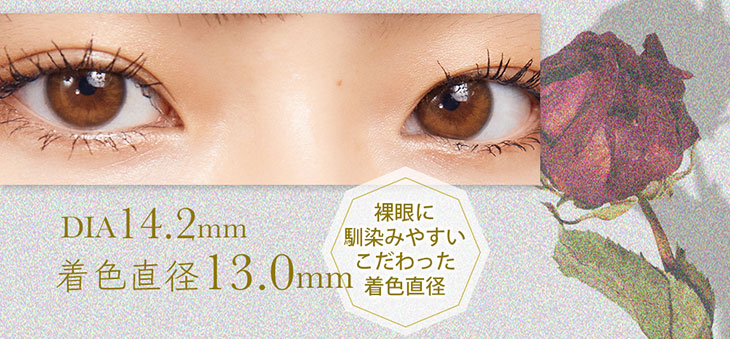 ワンデーカラコンエフェメラル(ephemeral)のメロウブラウンはDIA14.2mm,着色直径は裸眼に馴染む13.0mm
