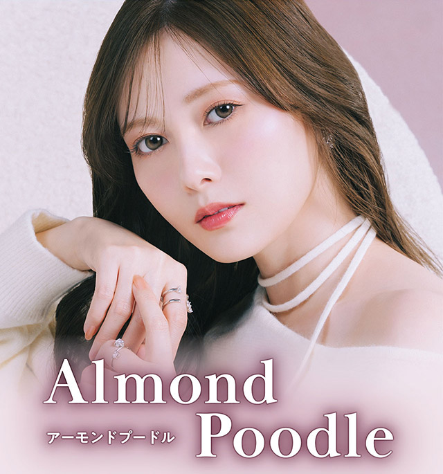 フェリアモ アーモンドプードル(feliamo Almond Poodle)白石麻衣(まい