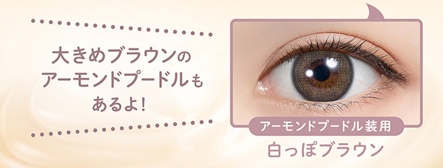 大きめブラウンのアーモンドプードルもあるよ|毎日可愛い飽きない♡白石麻衣さん(まいやん)イメージモデル フェリアモ マンスリー(feliamo 1MONTH)人気のワンデーカラコンが待望のマンスリーに♡1month 1ヶ月 1箱2枚入り BC8.6mm 含水率38%