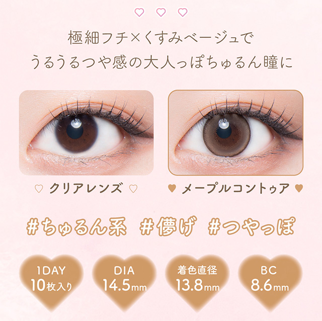 メープルコントゥア