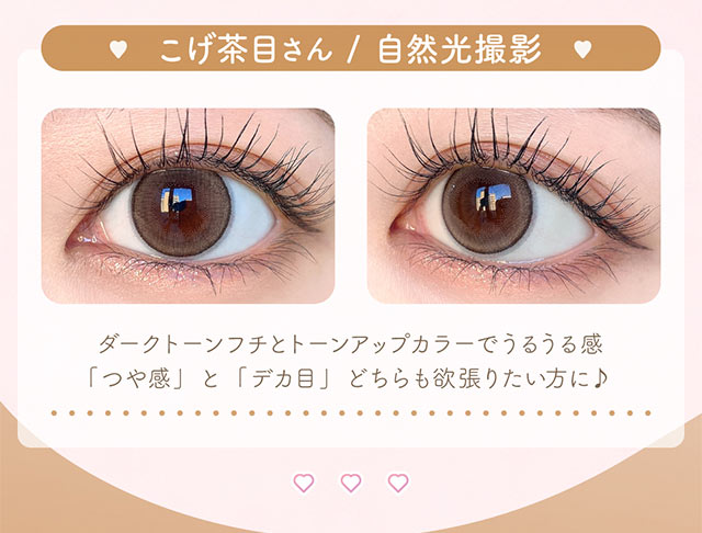 メープルコントゥア