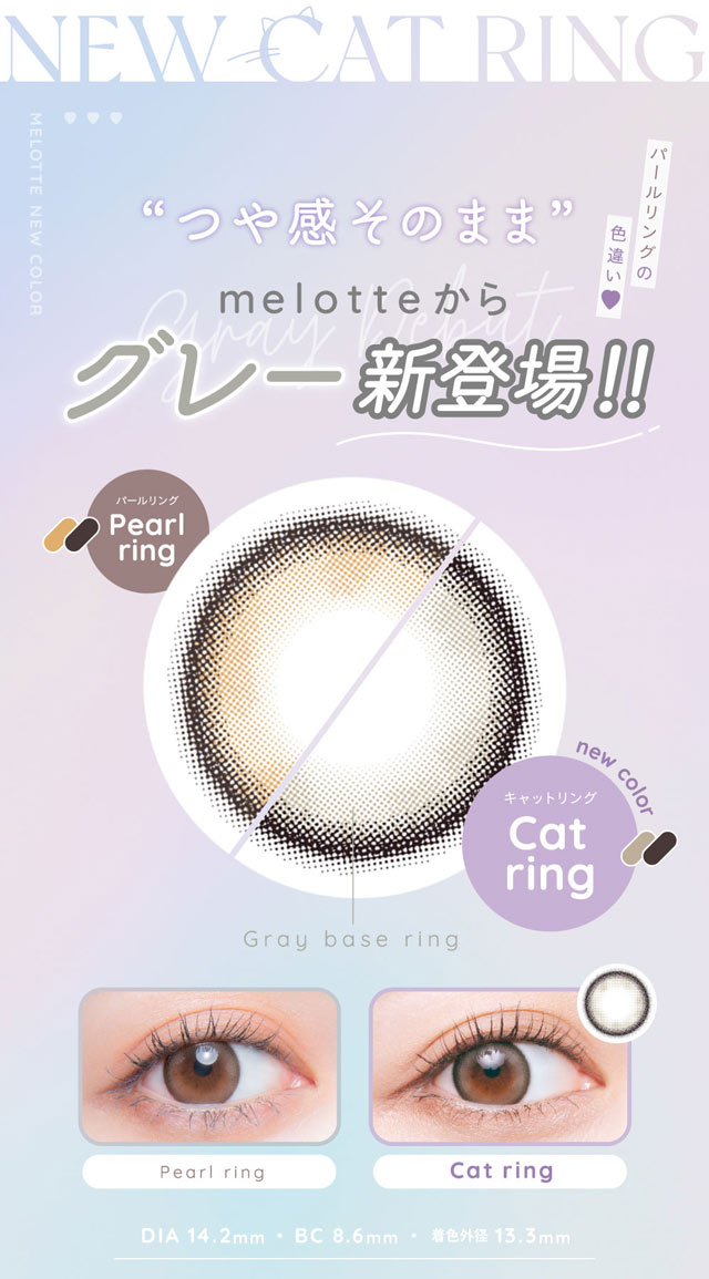 グレー新登場