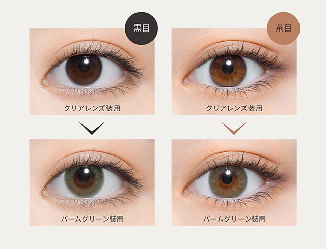 パームグリーン装用比較画像