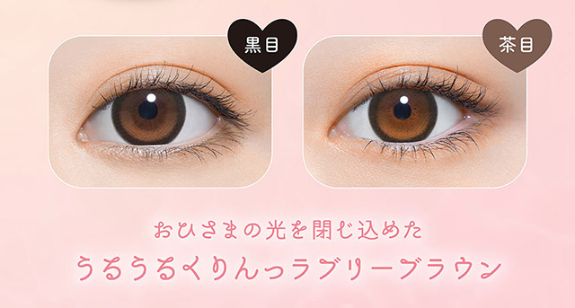 サニーベアの黒目と茶目の装用写真,おひさまの光を閉じ込めたうるうるくりんっラブリーブラウン|よしミチ(ミチ&よしあき)プロデュース パース perse ナチュラル系カラコン 度あり 度あり DIA:14.2mm/14.5mm ワンデー カラコン カラーコンタクトレンズ