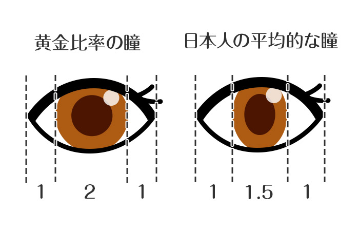 カラコンの着色直径ってなに 平均の大きさは カラコン選びで重要な黄金比率とカラー選び モアコンタクト モアコン 公式カラコン通販
