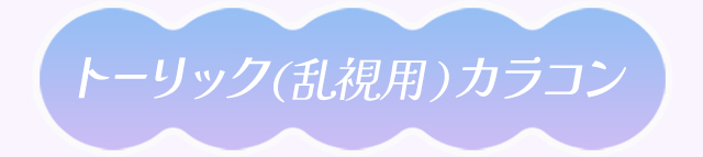 トーリック対象商品一覧