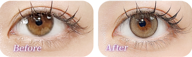 マランマランメープルコントゥア着用画像