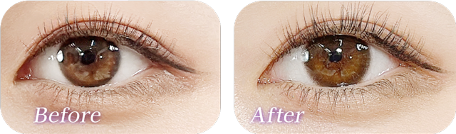 トパーズベイビーエスプレッソ着用画像