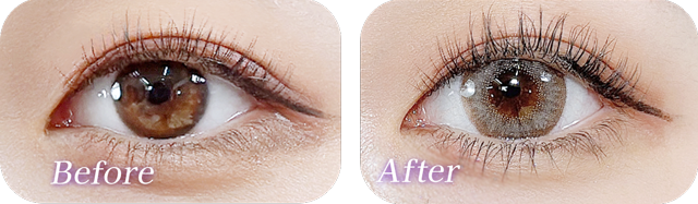 フルーリーワンデーパールライトブラウン着用画像