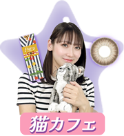 猫カフェをチェック