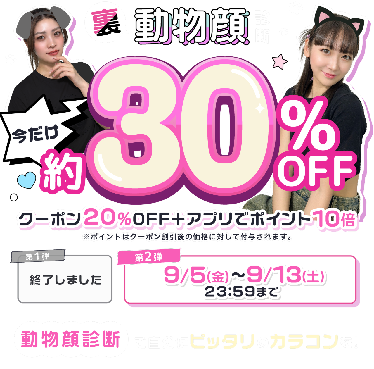 動物顔診断　今だけ約30%OFF
