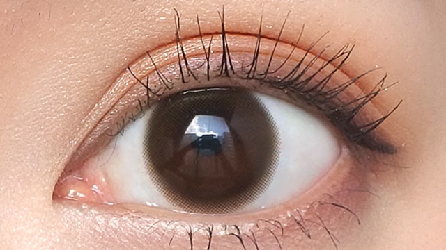 フェリアモ シアーブラウンの装用画像