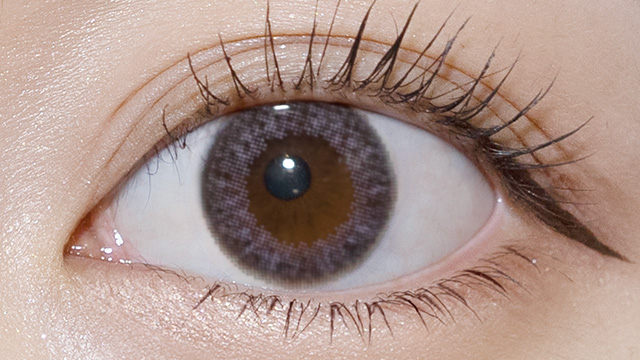 エヌズコレクション ココナッツの装用画像