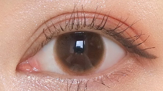 モラクワンデー ティントブラウンの装用画像