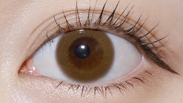 フランミー きなこロールの装用画像