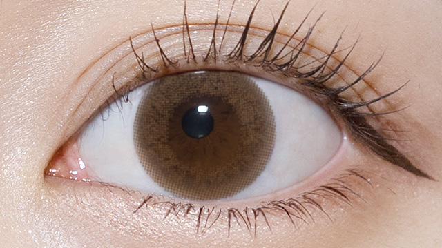 チューズミー シフォンブラウン(NEW) 装用画像