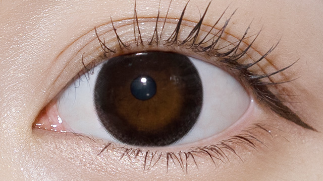 フルーリー チュールブラック(わんぱくコアラ) 装用画像