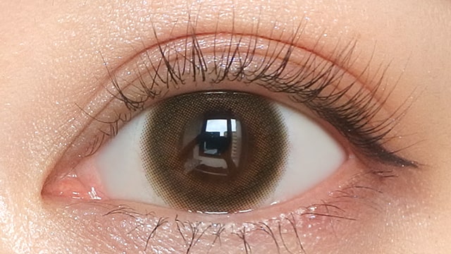 ミムコ ブラウンフォンデュの装用画像