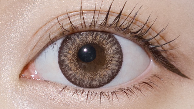 ラヴェール キャラメルグロー10枚入 装用画像