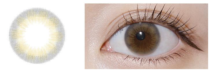 パース エアーグレー レンズ/装用画像