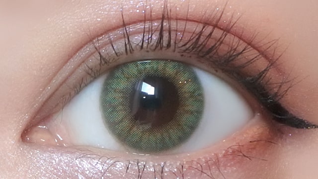 エヌズコレクション ズンダモチの装用画像