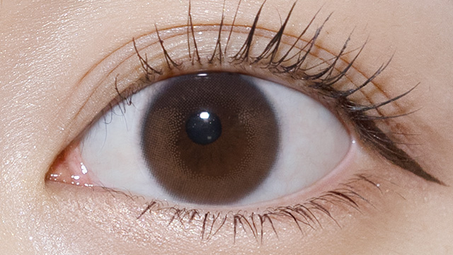 エフォス デューイブラウン 装用画像