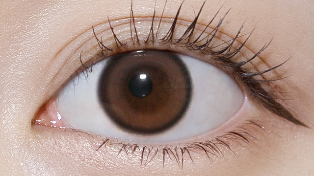 オーレンズ リアルリングワンデー / ブラウン レンズ画像