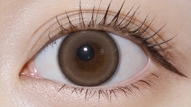 マランマラン / メープルコントゥア レンズ画像