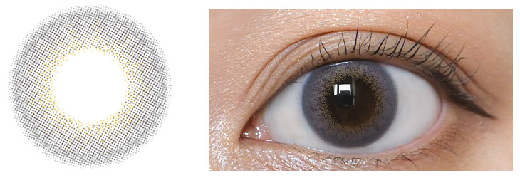 エフォス トワイライトグレー モアコンスタッフ装用画像