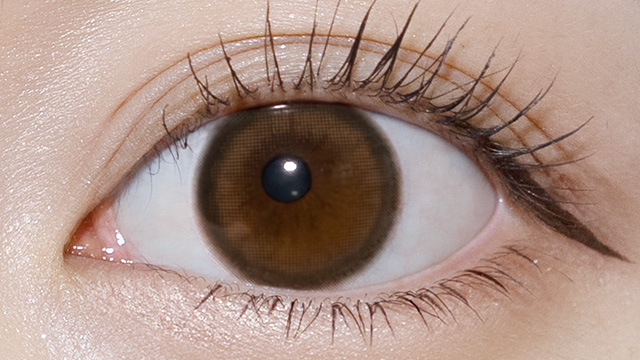 モラクワンデー ブラウンバニーの装用画像