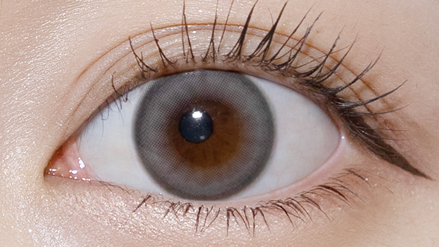 シャルトン / アイスミュール レンズ画像