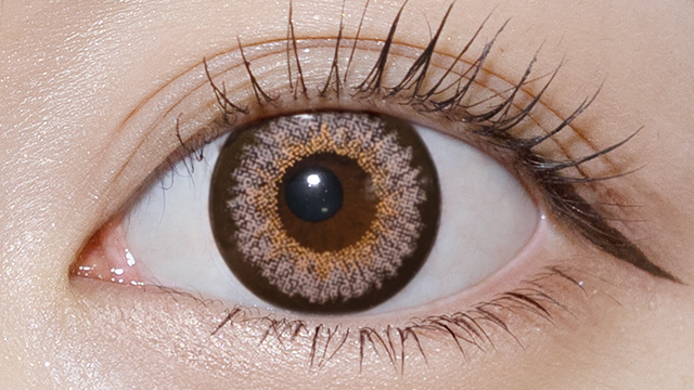 ギャルネバーダイ チョコレート 装用画像