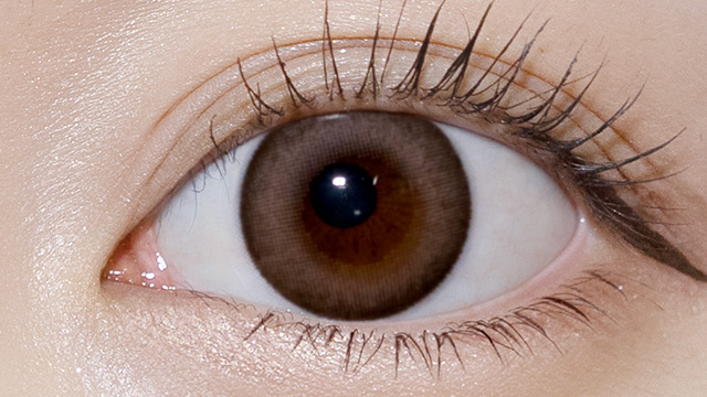 フルーリー / のんびりマンチカン レンズ画像