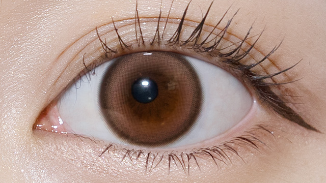 メイリー / シフォンブラウン レンズ画像