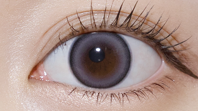 ハルネ チャイナブルーイメージ画像