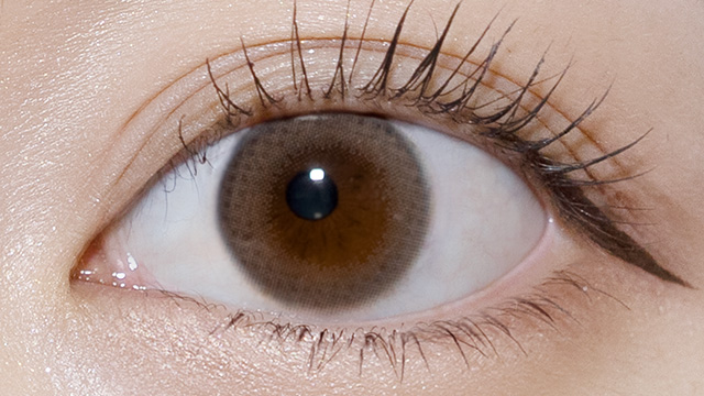 フェアリーワンデーニュートラルシリーズ エアベージュ 装用画像