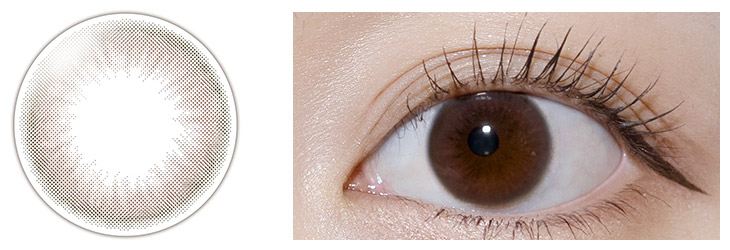 フェアリーワンデーニュートラルシリーズリトルブラウン モアコンスタッフの着画