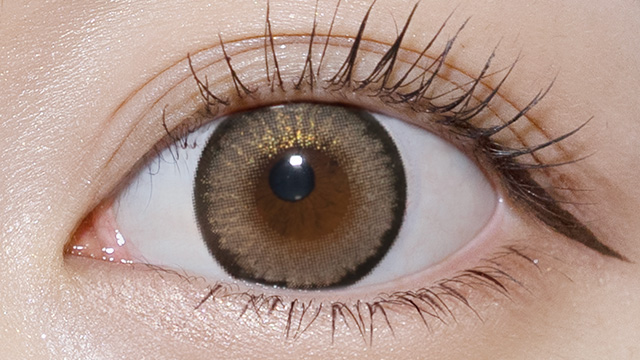 リセイ ナイトスパーク 装用画像