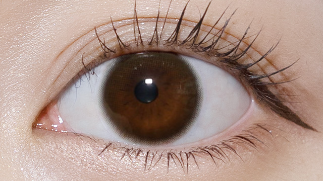 メロット / モアレディ 装用画像