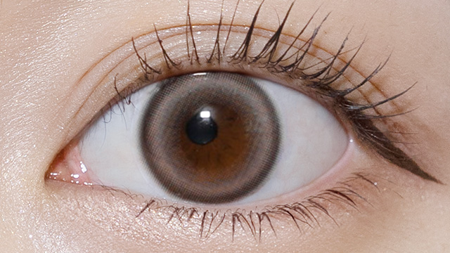 メロット / ダーリンフィグ レンズ画像