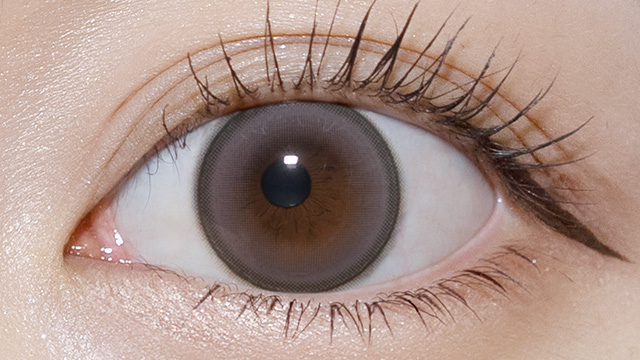 ワンデーリフレア エーアイ / ドラマティックグレー レンズ画像