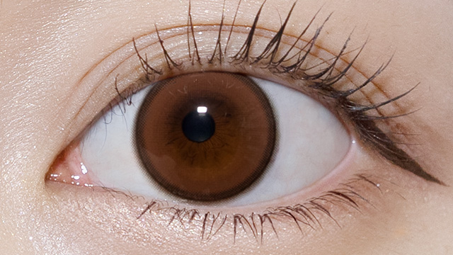 ワンデーリフレア エーアイ リファインドブラウン 装用画像