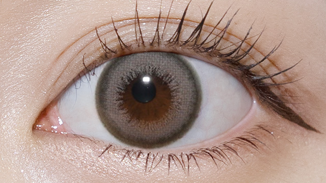 ワンデーリフレア エーアイ ノヴァグレージュ 装用画像