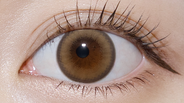 ワンデーリフレア エーアイ イエッピーブラウン 装用画像