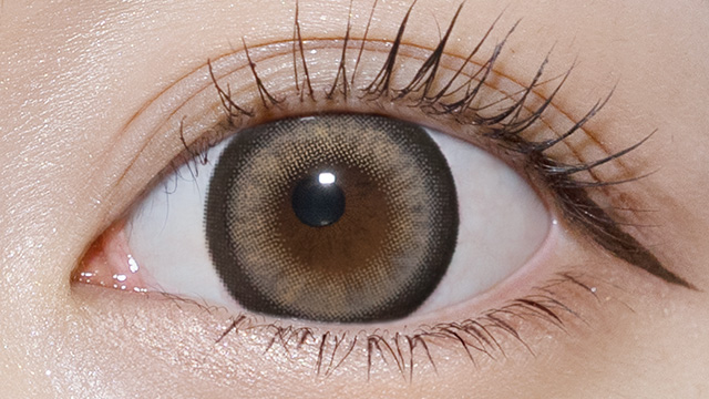 プリモア プリガールグレー 装用画像